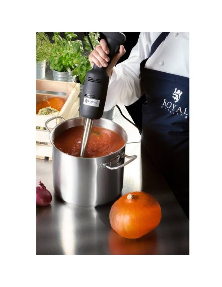 Galingas maišytuvas maišytuvas rankinis robotas rankos ilgis 400mm 350W 230V Royal Catering Galingas maišytuvas maišytuvas rankinis robotas rankos ilgis 400mm 350W 230V Royal Catering
