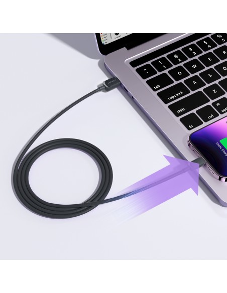 
Kabelis iPhone Lightning - USB 2.4A 1.2m juodas
