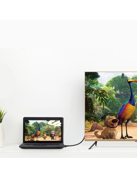 Mini DisplayPort kabelis – DisplayPort 2K 4K 1,5 m juodas