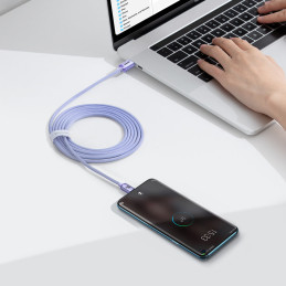 Laido laidas greitam įkrovimui ir duomenų perdavimui USB-C USB-C 100W 2m violetinė