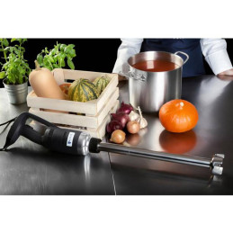 Galingas maišytuvas maišytuvas rankinis roboto rankos ilgis 300mm 500W 230V Royal Catering