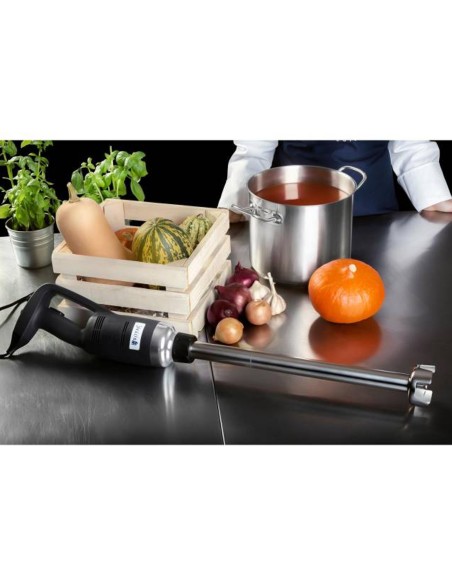 Galingas maišytuvas maišytuvas rankinis roboto rankos ilgis 300mm 500W 230V Royal Catering Galingas maišytuvas maišytuvas rankinis roboto rankos ilgis 300mm 500W 230V Royal Catering