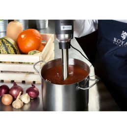 Galingas maišytuvas maišytuvas rankinis roboto rankos ilgis 300mm 500W 230V Royal Catering