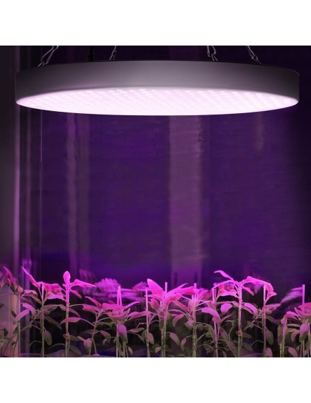 Augalų augimo kultivavimo lempa Viso spektro apvalus skersmuo. 33 cm 250 LED 50 W sidabrinis Augalų augimo kultivavimo lempa Viso spektro apvalus skersmuo. 33 cm 250 LED 50 W sidabrinis